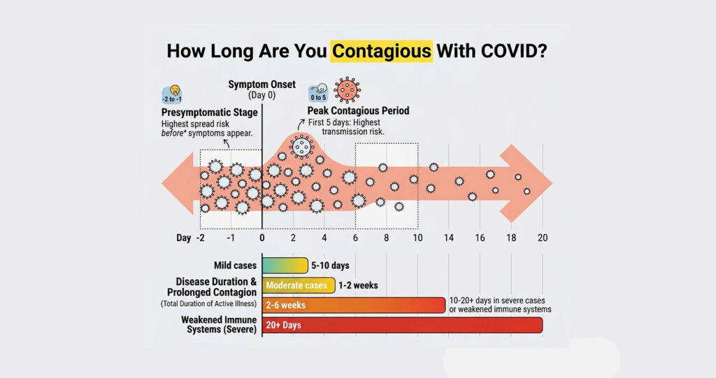 Infographic titled "How Long Are You Contagious With COVID?" illustrating contagion stages and the duration of illness for various severity levels.