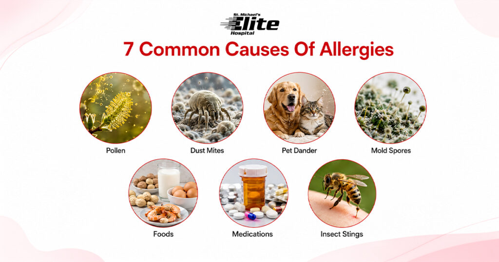 Infographic showing seven common allergy causes